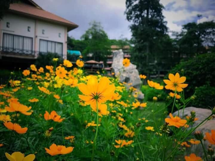 Arayana Phupimarn Resort & Spa Pakchong Ngoại thất bức ảnh