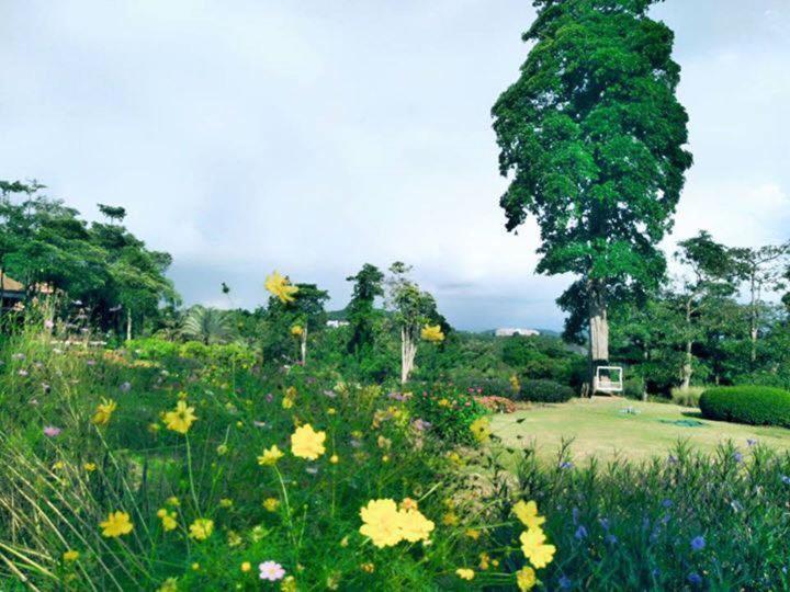 Arayana Phupimarn Resort & Spa Pakchong Ngoại thất bức ảnh